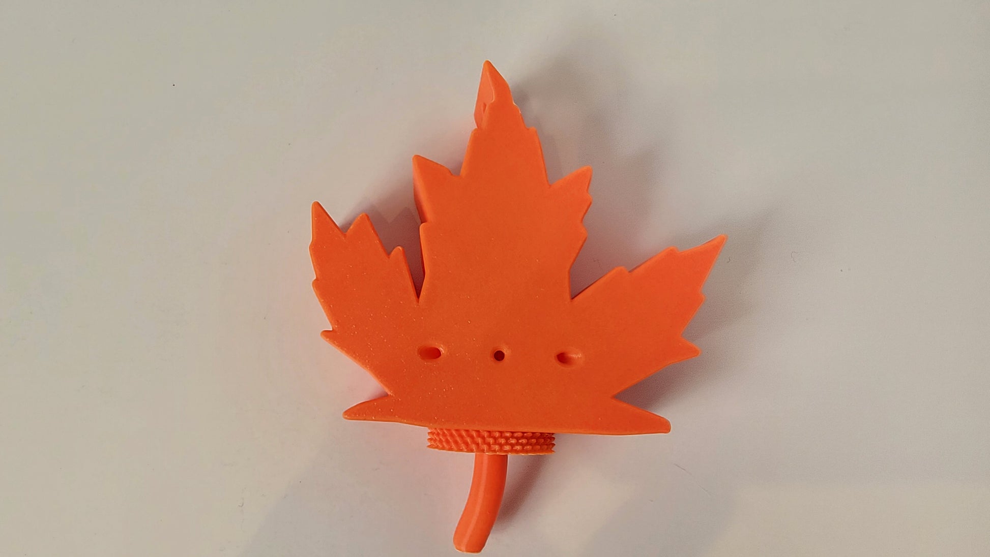 Maple leaf nose work hide positioned for ground search training