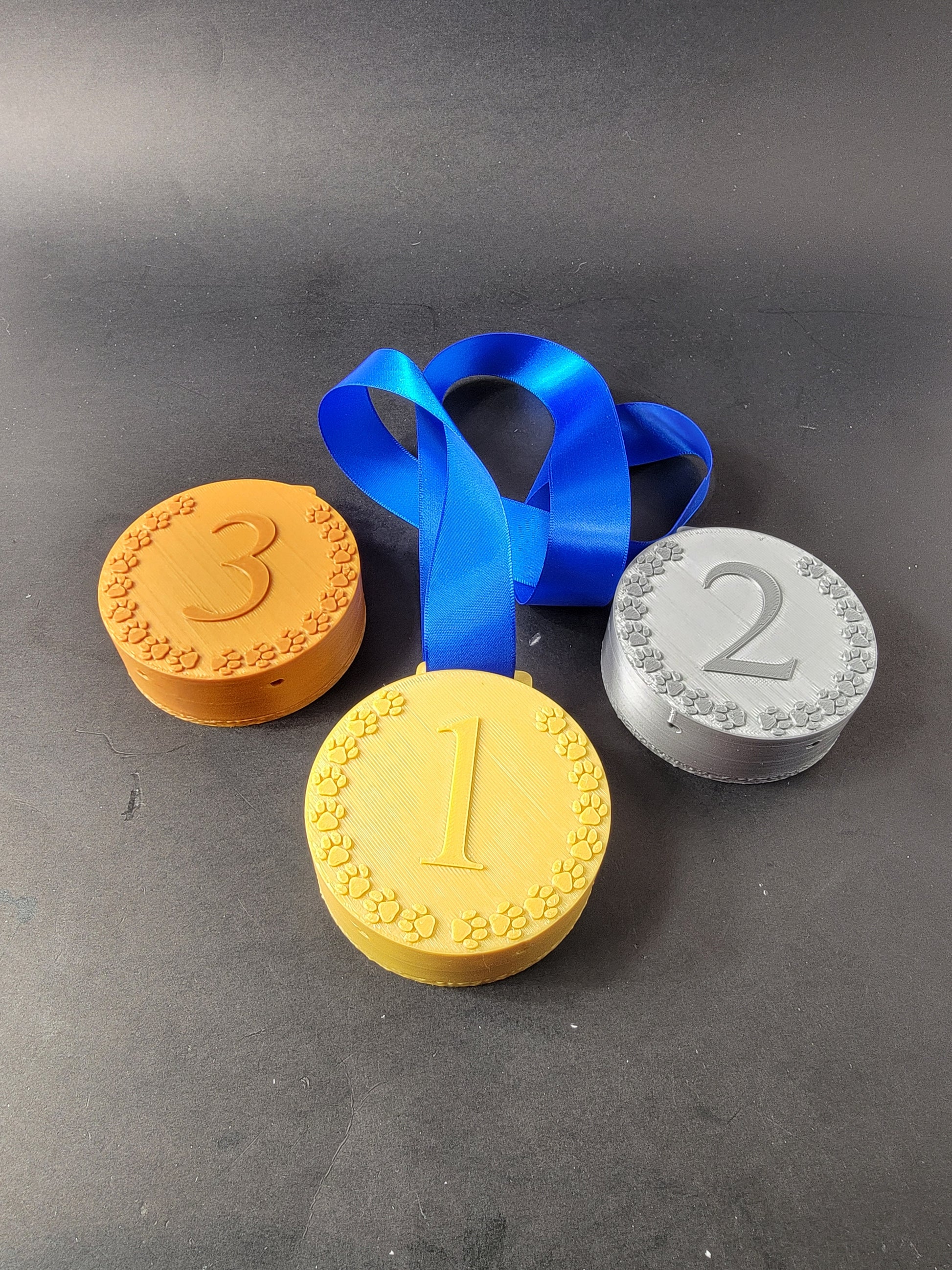 Gold, silver, and bronze nose work medal hides laid flat side by side with blue ribbon