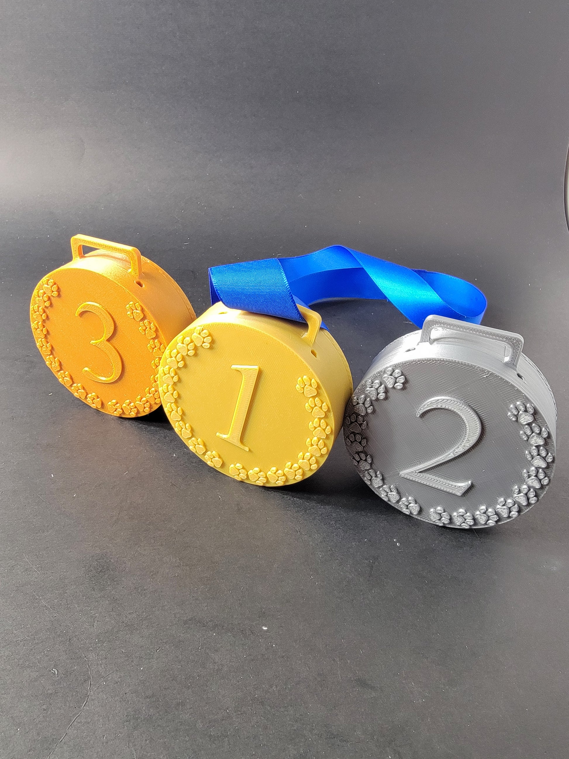 Set of three ABS plastic dog sport medal hides numbered 1, 2, and 3 with blue ribbon, angled view