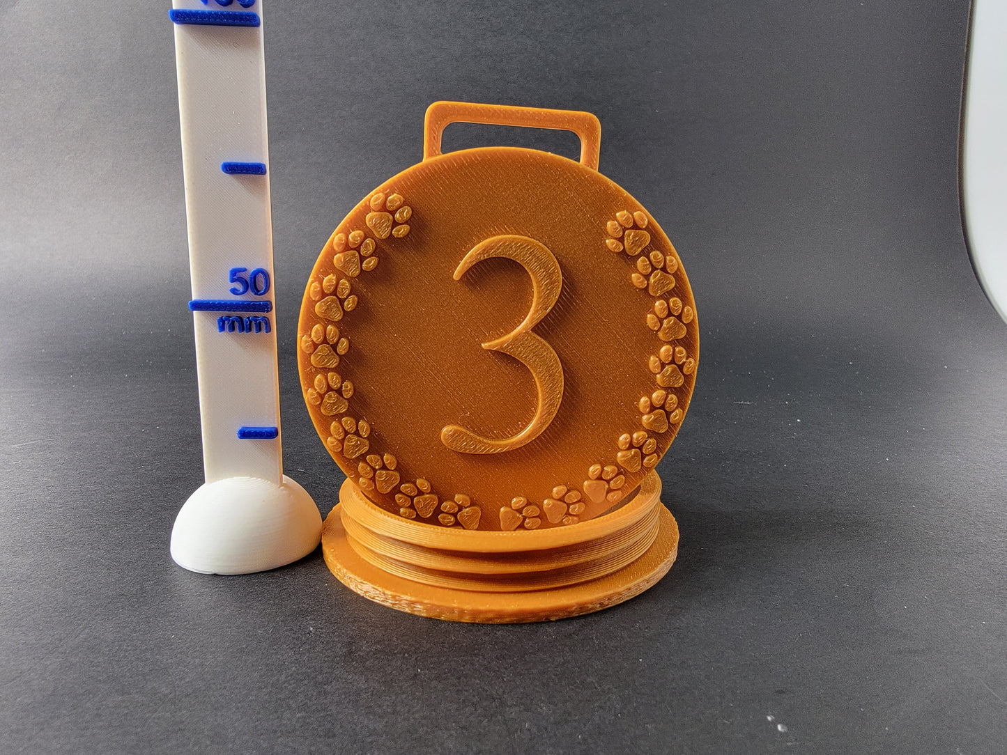 Bronze nose work medal hide assembled and standing upright next to a 50mm scale ruler, showing paw print border detail