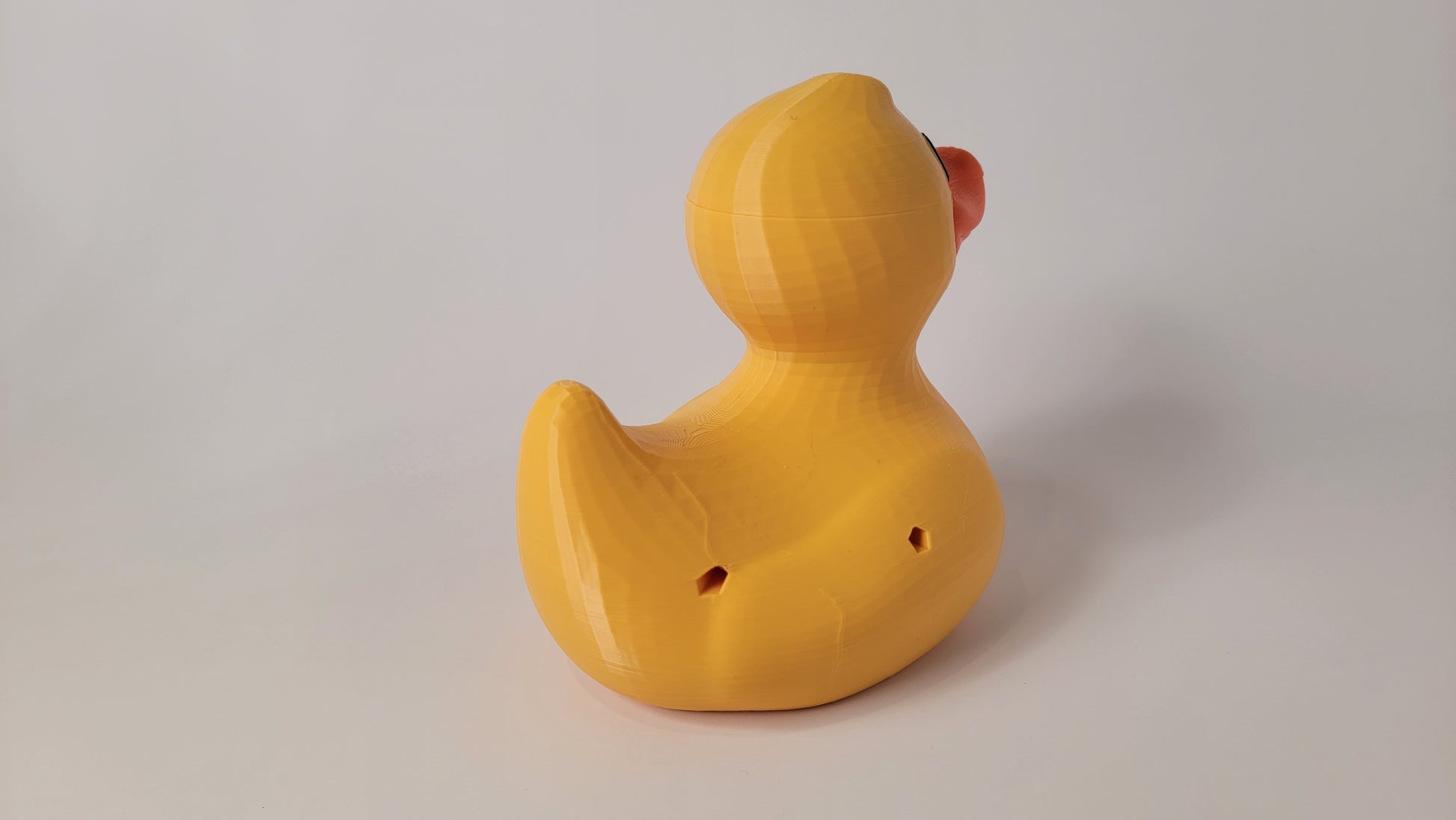 toy duck scent hide size comparison for nose work training